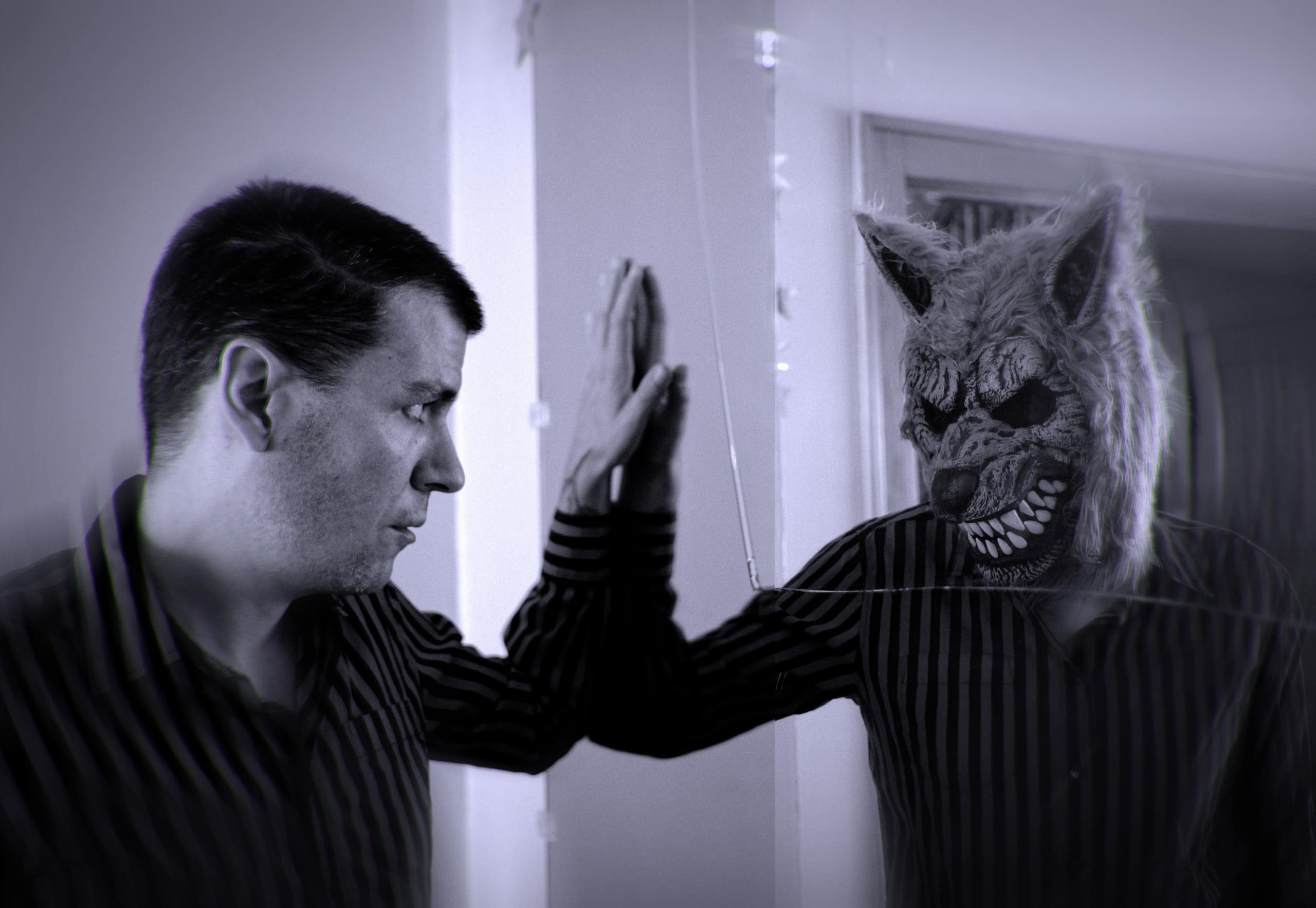 Z Wolf stands at a crossroads on 'The Red Mirror' – Matter News